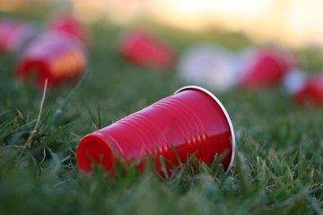 Solo cups on a lawn
