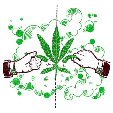 Canada and Ontario have divided responsibilities for legislating marijuana deregulation.