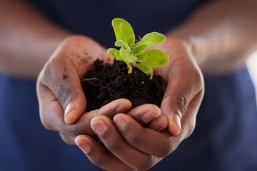 Environmental Law